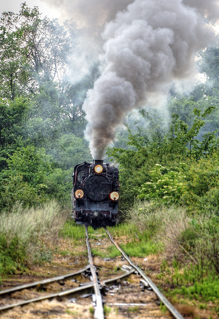 Narrow gauge steam in Poland