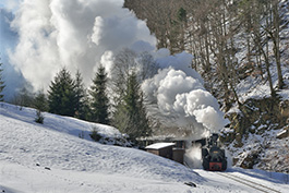 Galerie Rumänien Wassertal Winter Tanago Eisenbahnreisen
