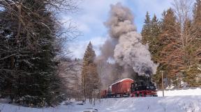 sachsendampf-2020-tanago-eisenbahnreisen-railfan-tours-15.jpg