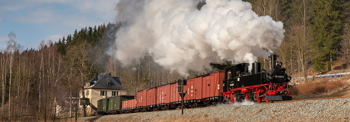 Döllnitzbahn Oschatz Mügeln IVk Tanago Eisenbahnriesen Erlebnisreisen