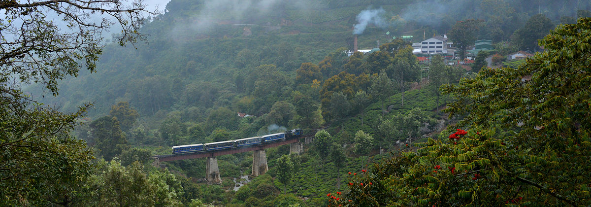 India Darjeeling steam photocharter Tanago railfan tours