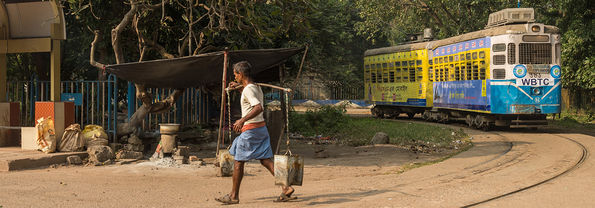 India Darjeeling steam photocharter Tanago railfan tours