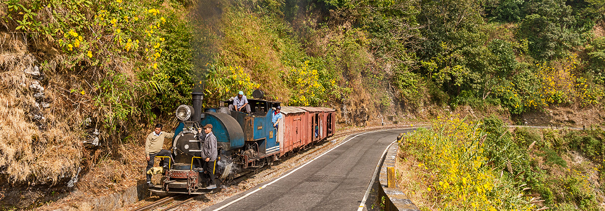 India Darjeeling steam photocharter Tanago railfan tours