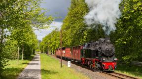 Ostseedampf-tanago-eisenbahnreisen-railfan-tours-40.jpg