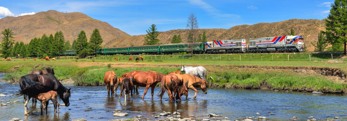 Mongolia Tanago Railfan tours