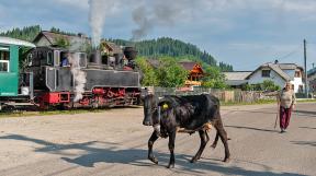 rumaenien-karpaten-tanago-railfan-tours-eisenbahnreisen-22.jpg