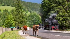 rumaenien-karpaten-tanago-railfan-tours-eisenbahnreisen-74.jpg