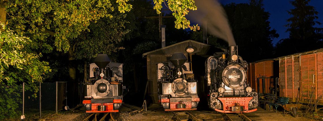 Bad Muskau narrow gauge photo charter Tanago railfan tours