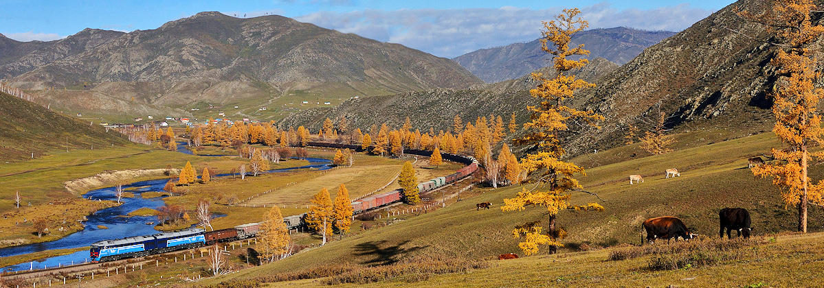 Mongolia Tanago Railfan tours