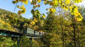 Ybbstalbahn-2024_tanago-eisenbahnreisen-114.jpg