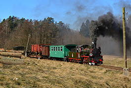 Poland: Narrow-gauge steam in Kösslin, Tanago Railfan tours photo charter